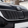 Зимний экран верхний, (текстурный пластик) для Skoda Kodiaq (2016-2021) купить недорого с доставкой в Пенза
